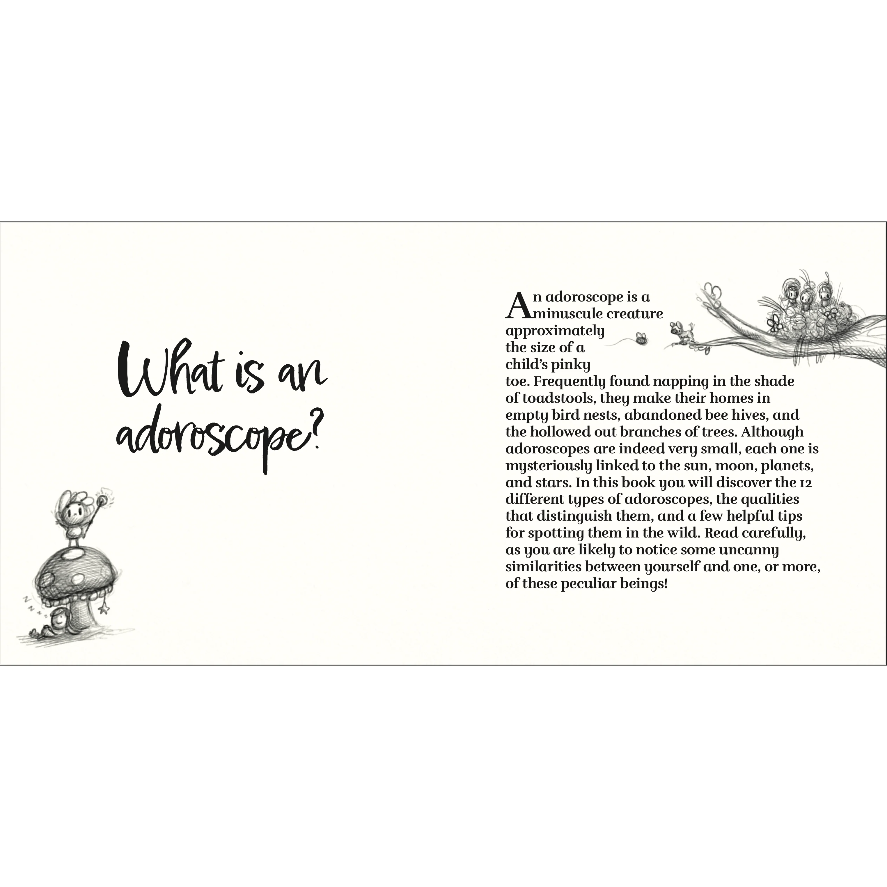 Adoroscopes Book - An illustrated guide to the 12 adorable signs of the zodiac - Image 5
